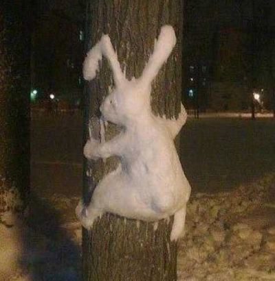 Снежный кролик